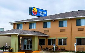 Comfort Inn Marion Oh